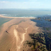 Projet de Parc naturel marin de l'estuaire de la Gironde et des Pertuis charentais : réunions de consultation - Actualités - Gironde - Pertuis - Missions d'étude de parc - Organisation - L'Agence - Agence des aires marines protégées